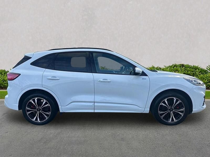 Used Ford Kuga ST-Line X 2023 White SUV