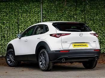 Neu Mazda CX-30 Prime-Line 140 PS (102 kW) 2025 Weiß SUV