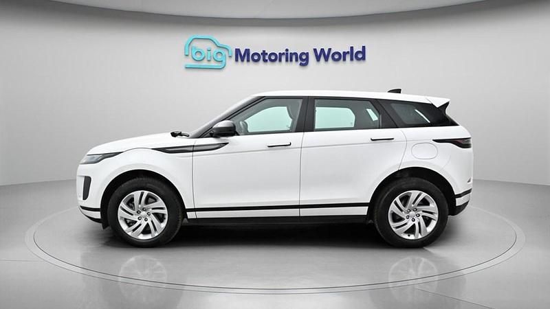 Used Land Rover Range Rover evoque S 309 HP (227 kW) 2024 White SUV