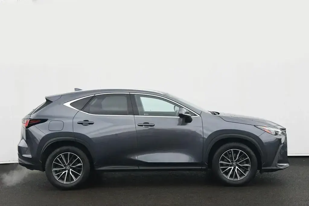 Used Lexus NX450h+ 2023 Grey SUV
