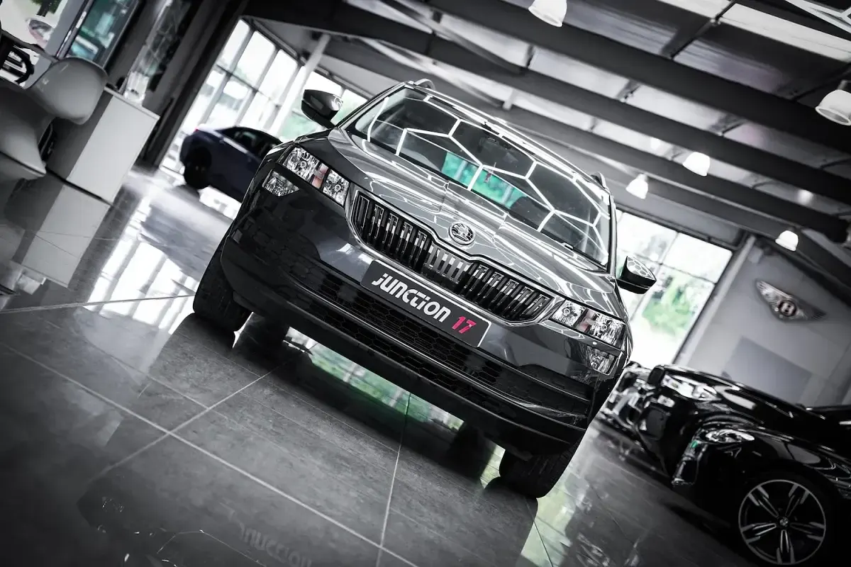 Used Skoda Karoq SE 150 HP (110 kW) 2020 Grey SUV