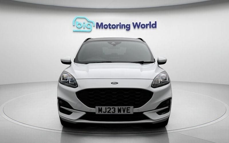 Used Ford Kuga ST-Line X 225 HP (165 kW) 2023 White SUV