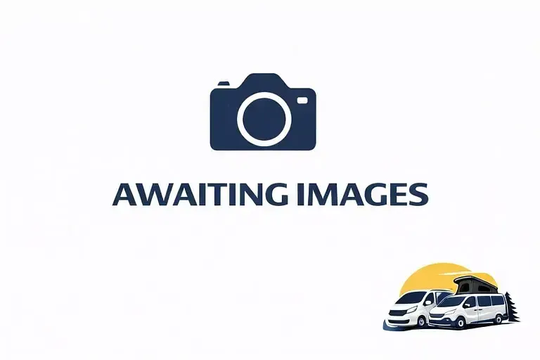 Used Renault Trafic Business 120 HP (88 kW) 2021 Silver