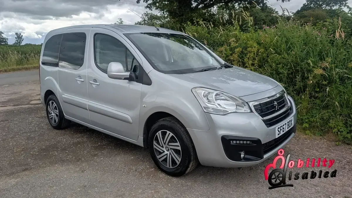 Used Peugeot TePee Access 2017 Silver MPV