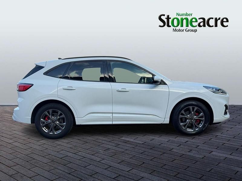 Used Ford Kuga ST-Line 190 HP (139 kW) 2023 White SUV
