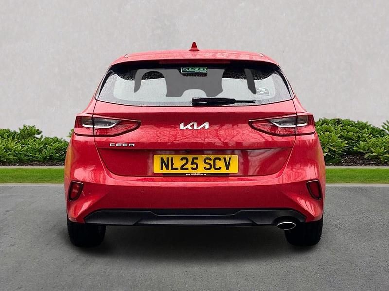 Used Kia Ceed 138 HP (101 kW) 2025 Red Hatchback