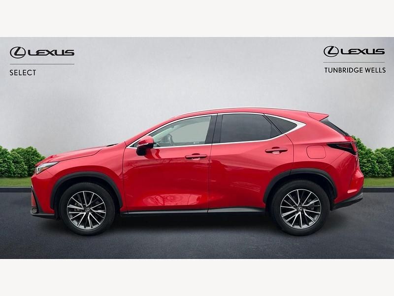 Used Lexus NX350h 2023 Red Estate
