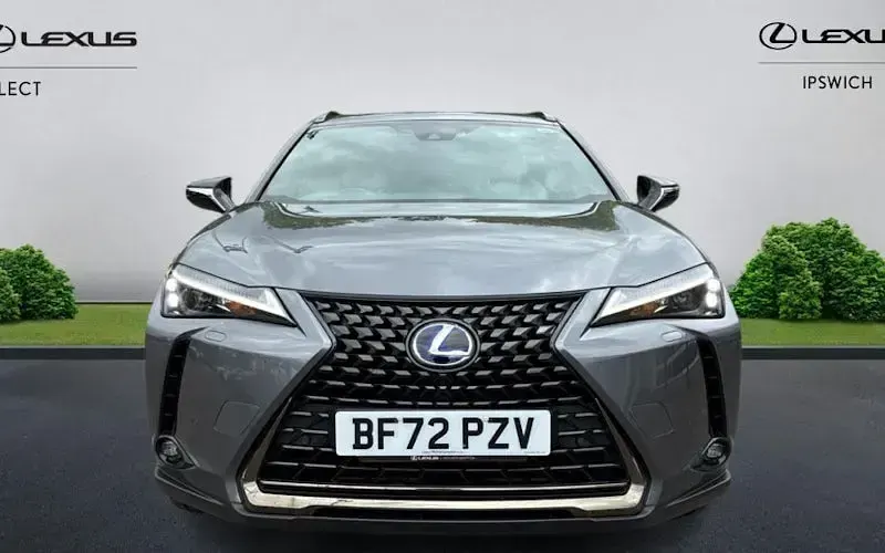 Usado Lexus UX 250h 184 CV (135 kW) 2024 SUV