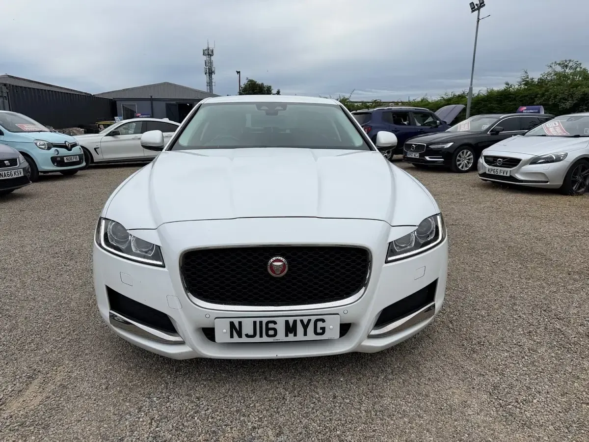 Used Jaguar XF Prestige 2016 White Sedan