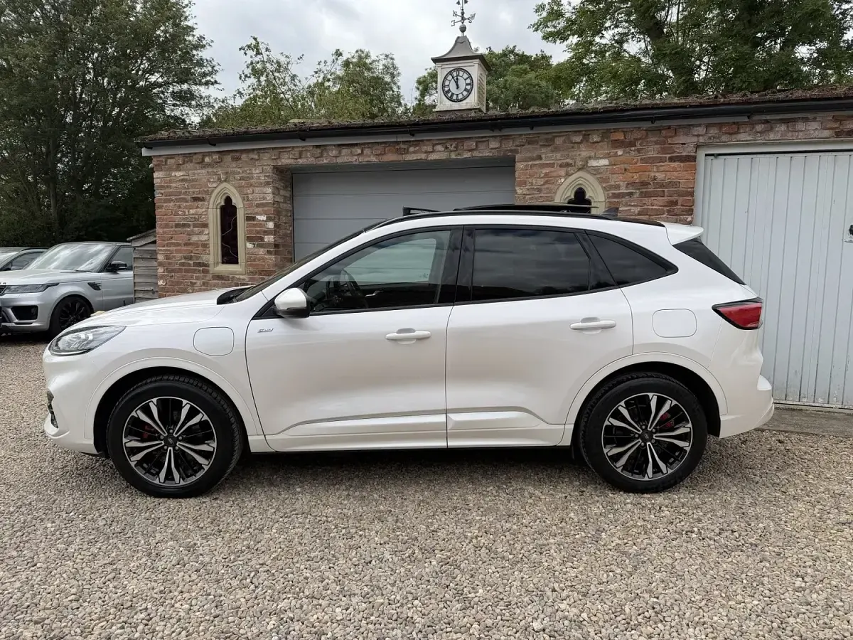 Used Ford Kuga ST-Line X 225 HP (165 kW) 2023 White SUV