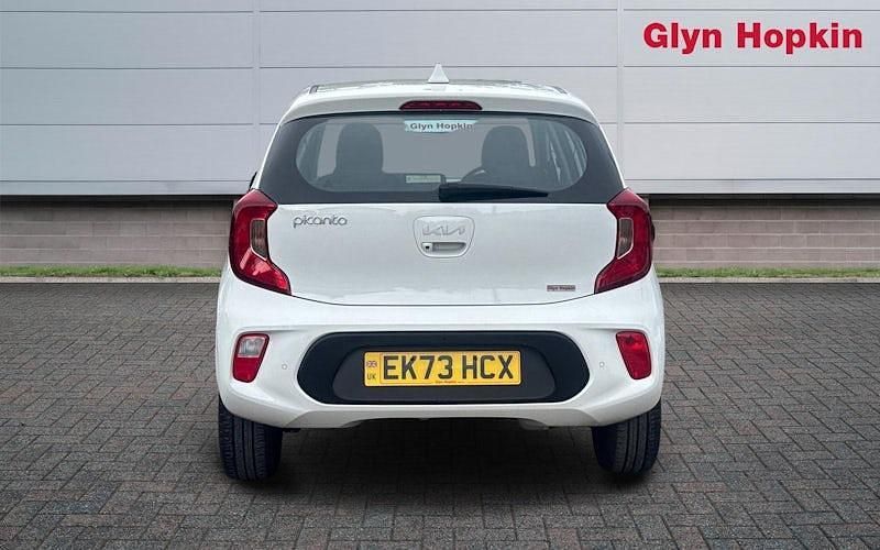 Used Kia Picanto 67 HP (49 kW) 2023 White Hatchback