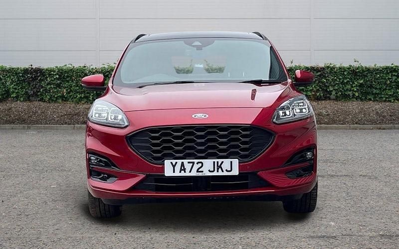 Used Ford Kuga ST-Line X 190 HP (139 kW) 2023 SUV