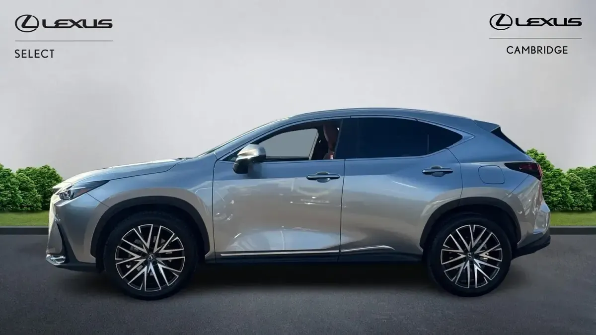 Used Lexus NX350h 2025 Silver Estate