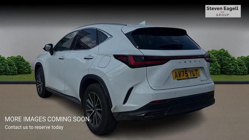 Used Lexus NX350h 2025 White Estate