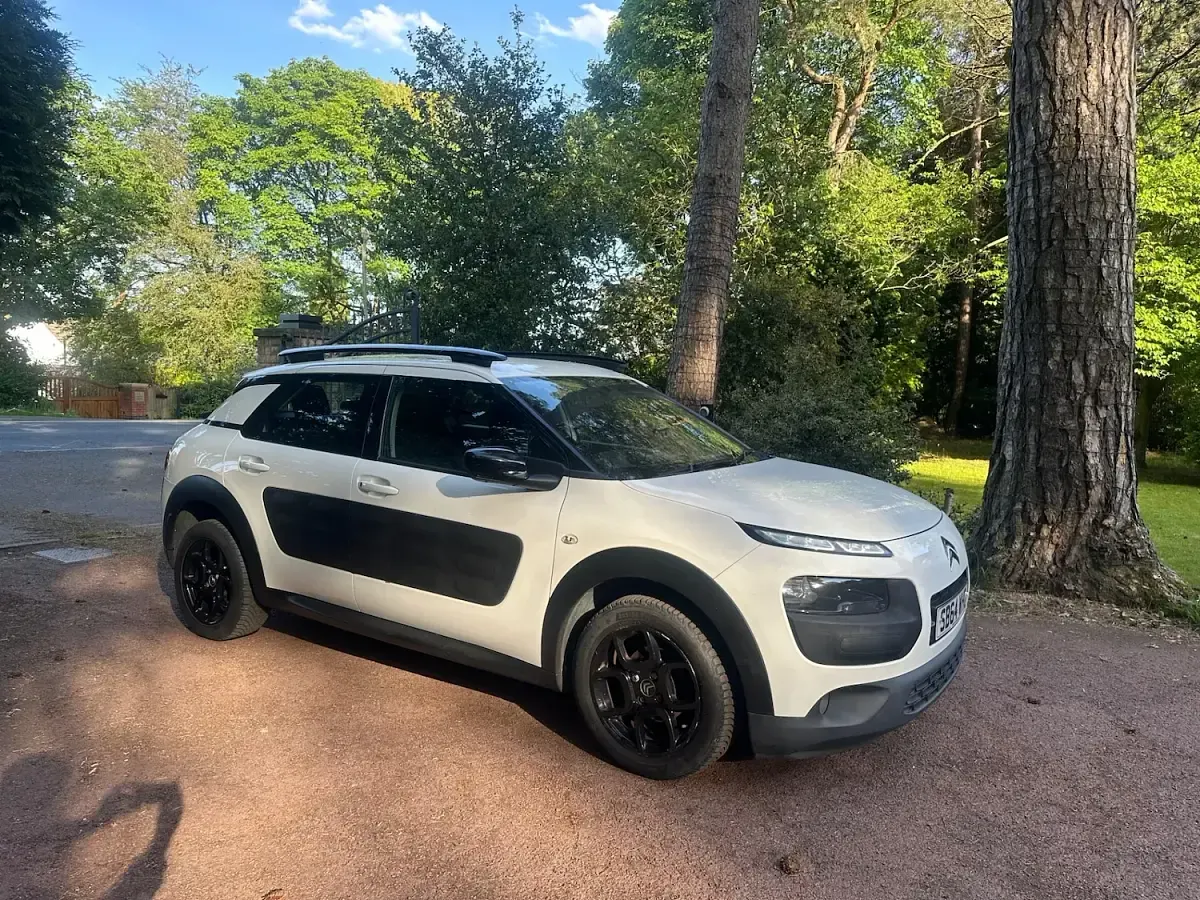 Used Citroën C4 Cactus Feel 82 HP (60 kW) 2014 White Hatchback