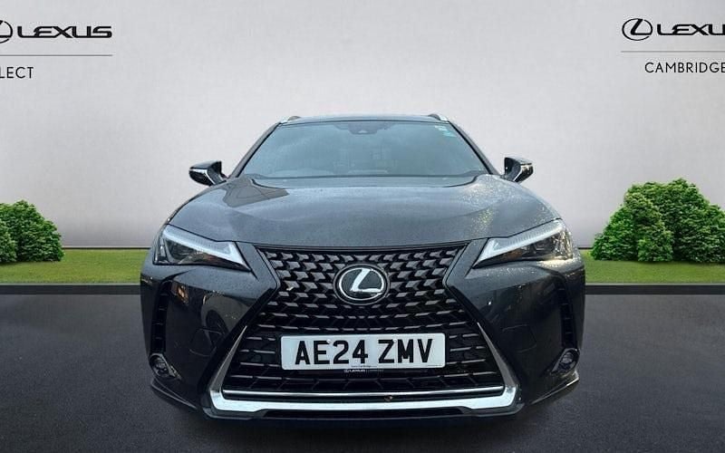 Used Lexus UX 250h 184 HP (135 kW) 2024 SUV