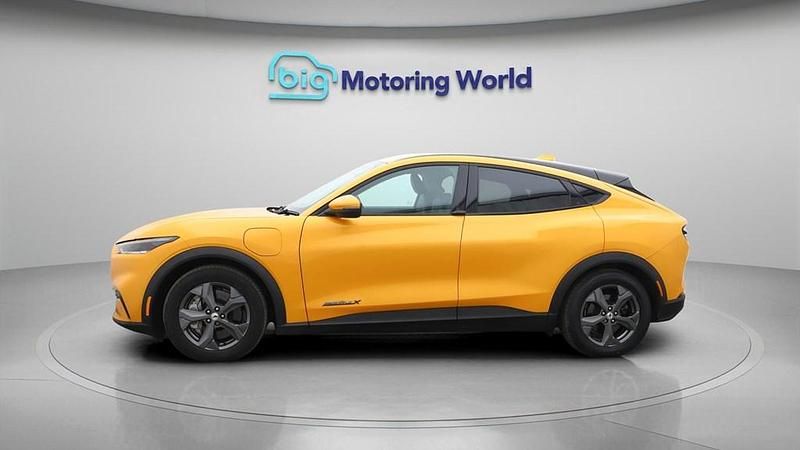 Used Ford Mustang Mach-E Extended Range 216 kW (294 HP) 2024 SUV