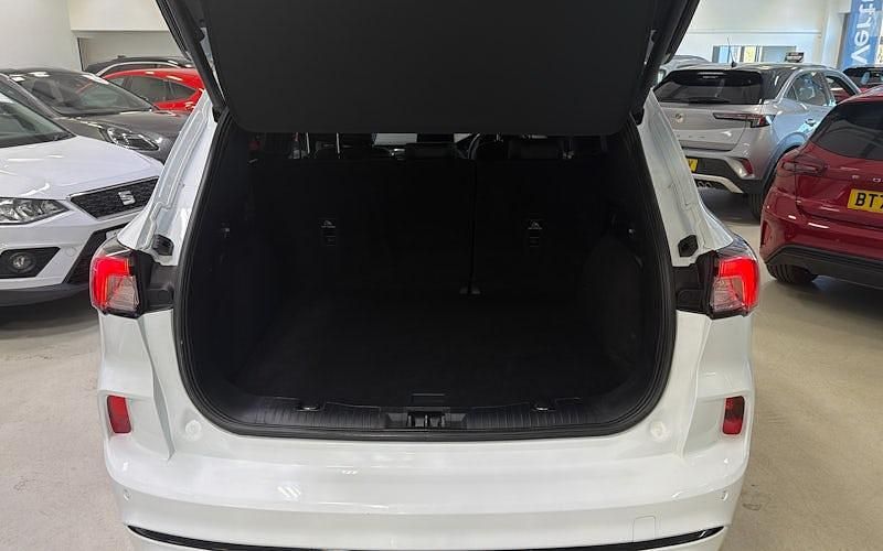 Used Ford Kuga ST-Line X 190 HP (139 kW) 2023 White SUV