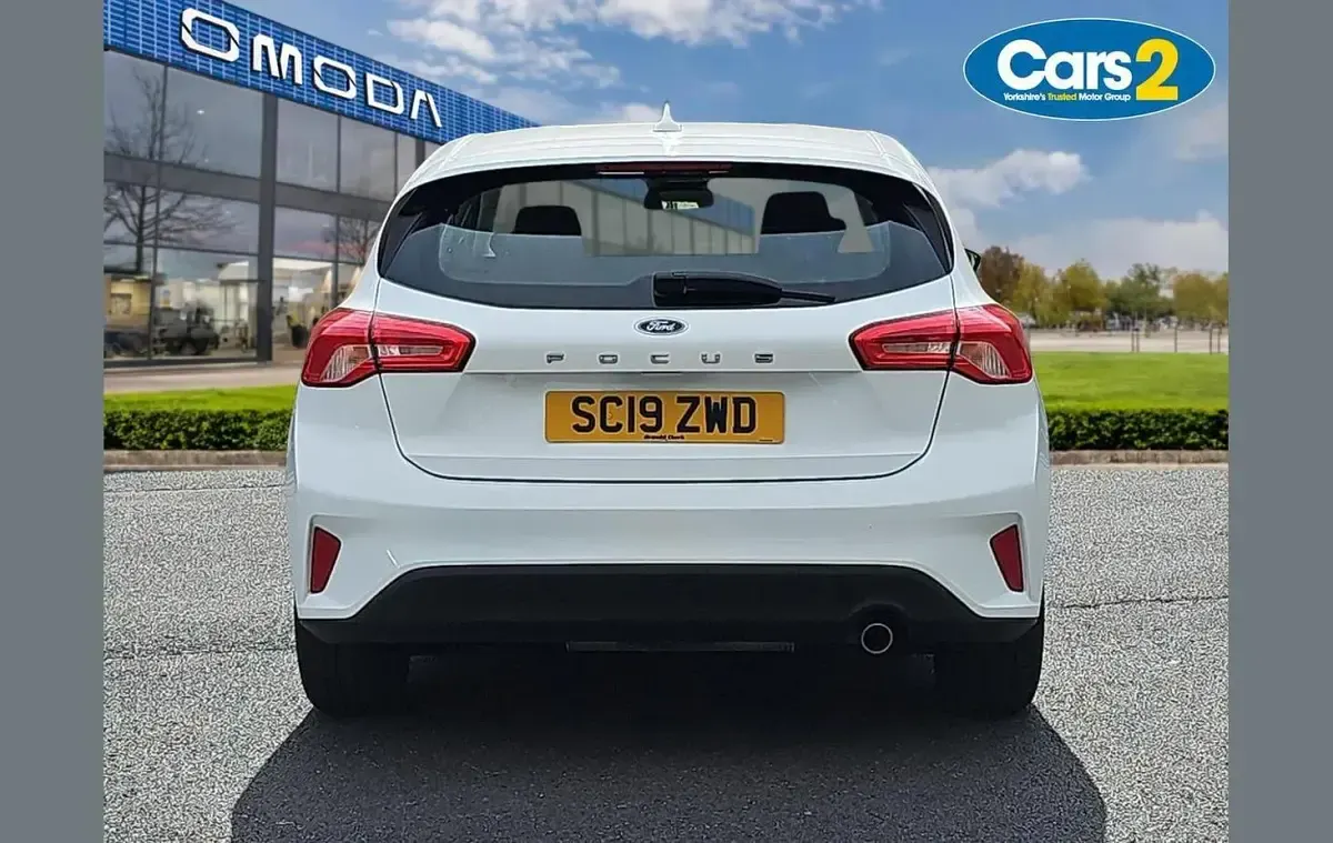 Used Ford Focus Zetec 117 HP (86 kW) 2019 White Hatchback