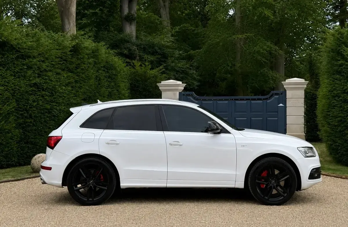 Used Audi SQ5 Performance 2015 White SUV