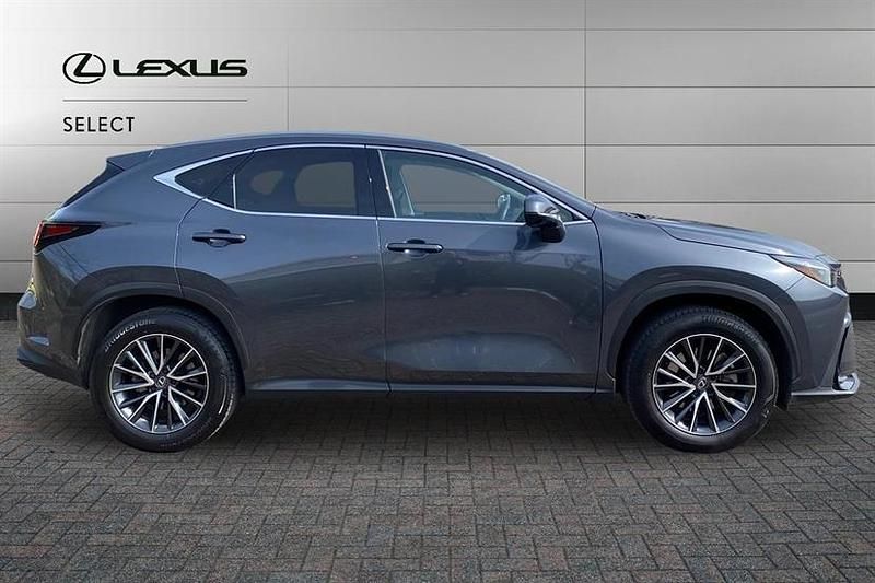 Used Lexus NX350h 243 HP (178 kW) 2025 Sonic grey SUV