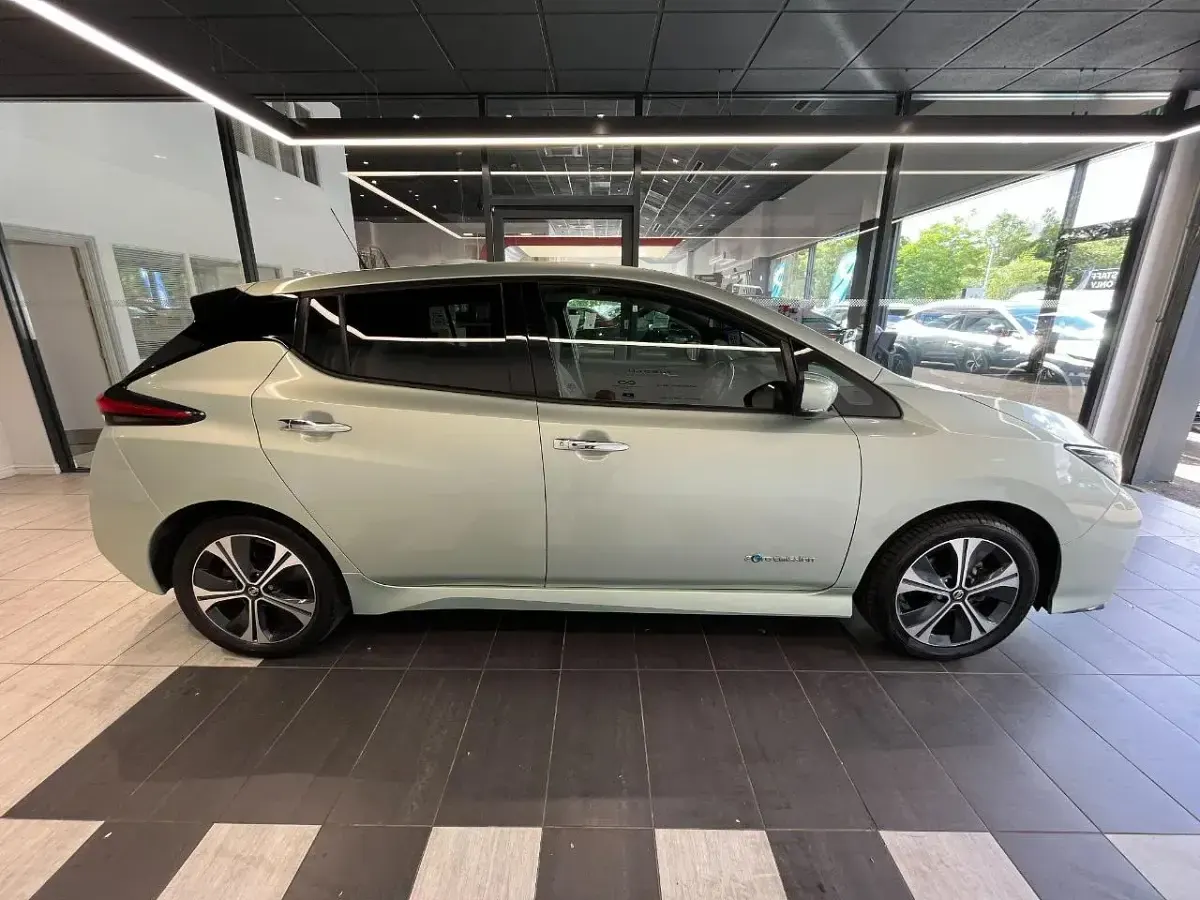 Used Nissan Leaf Tekna 157 kW (214 HP) 2019 Green Hatchback