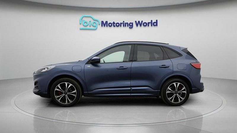 Used Ford Kuga ST-Line X 225 HP (165 kW) 2022 Blue SUV