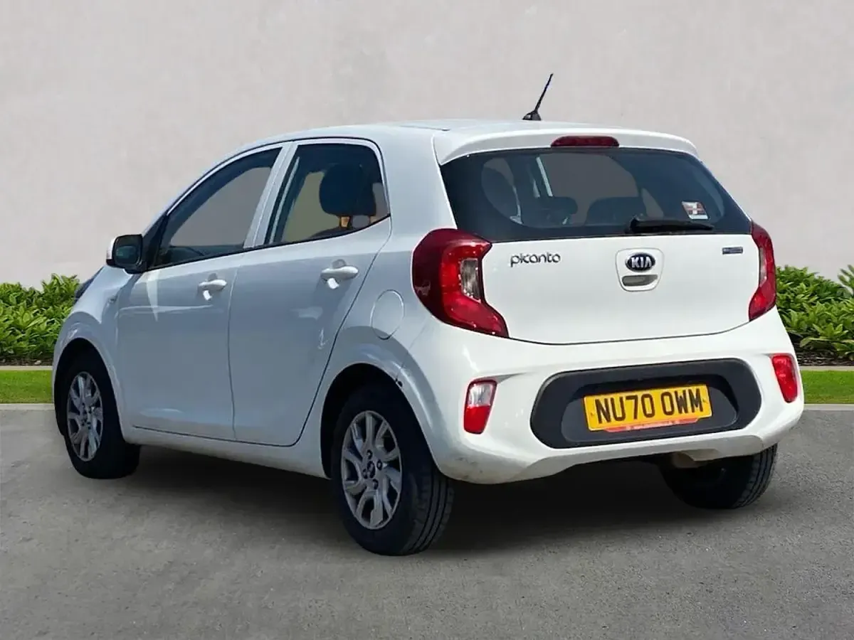 Used Kia Picanto 84 HP (61 kW) 2020 White Hatchback