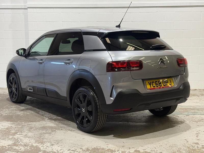 Used Citroën C4 Cactus Flair 108 HP (79 kW) 2018 Grey Hatchback