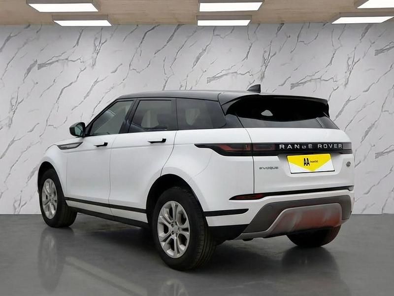 Used Land Rover Range Rover evoque S 200 HP (147 kW) 2019 White SUV