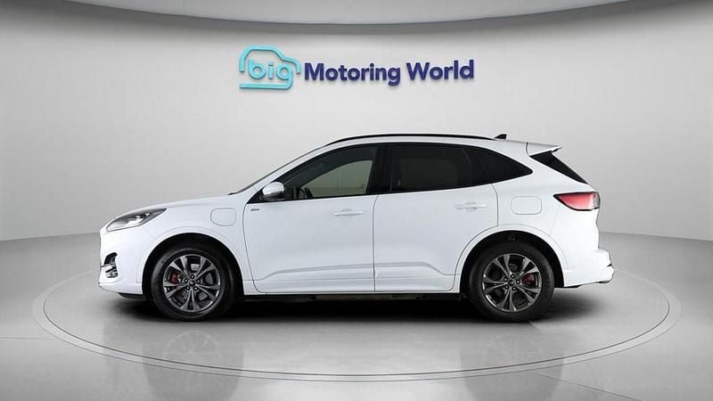 Used Ford Kuga ST-Line 225 HP (165 kW) 2021 White SUV