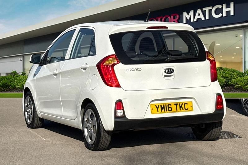 Used Kia Picanto 66 HP (48 kW) 2016 White Hatchback