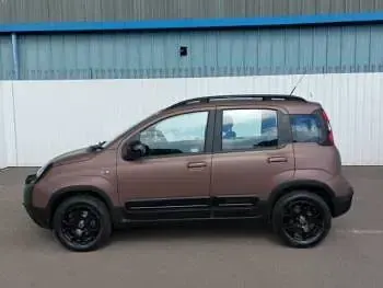 Used Fiat Panda 69 HP (50 kW) 2020 Brown Hatchback