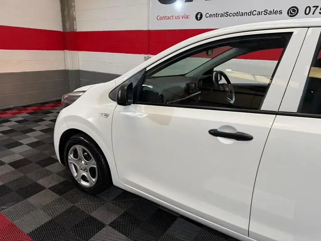 Used Kia Picanto 66 HP (48 kW) 2019 White Hatchback