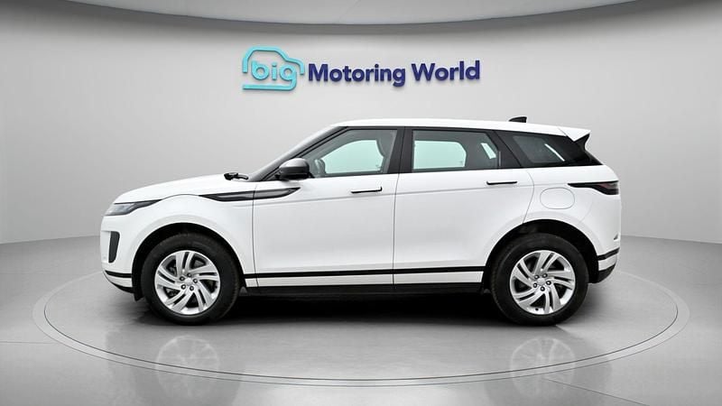Used Land Rover Range Rover evoque S 309 HP (227 kW) 2023 White SUV
