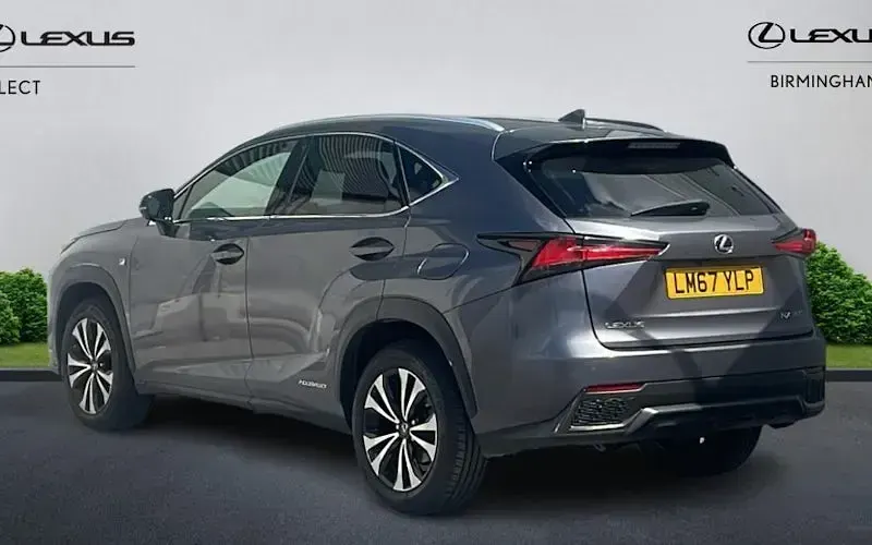 Used Lexus NX300h Sport Line 197 HP (144 kW) 2017 Grey SUV