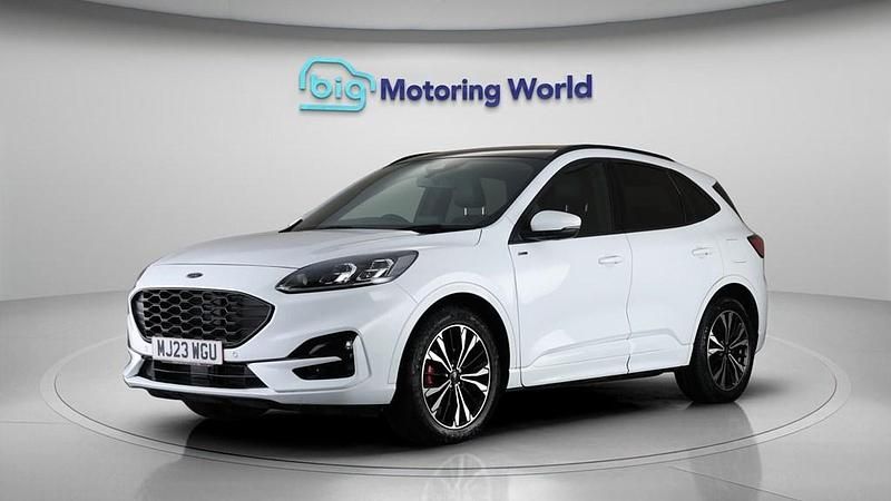 Used Ford Kuga ST-Line X 150 HP (110 kW) 2023 White SUV