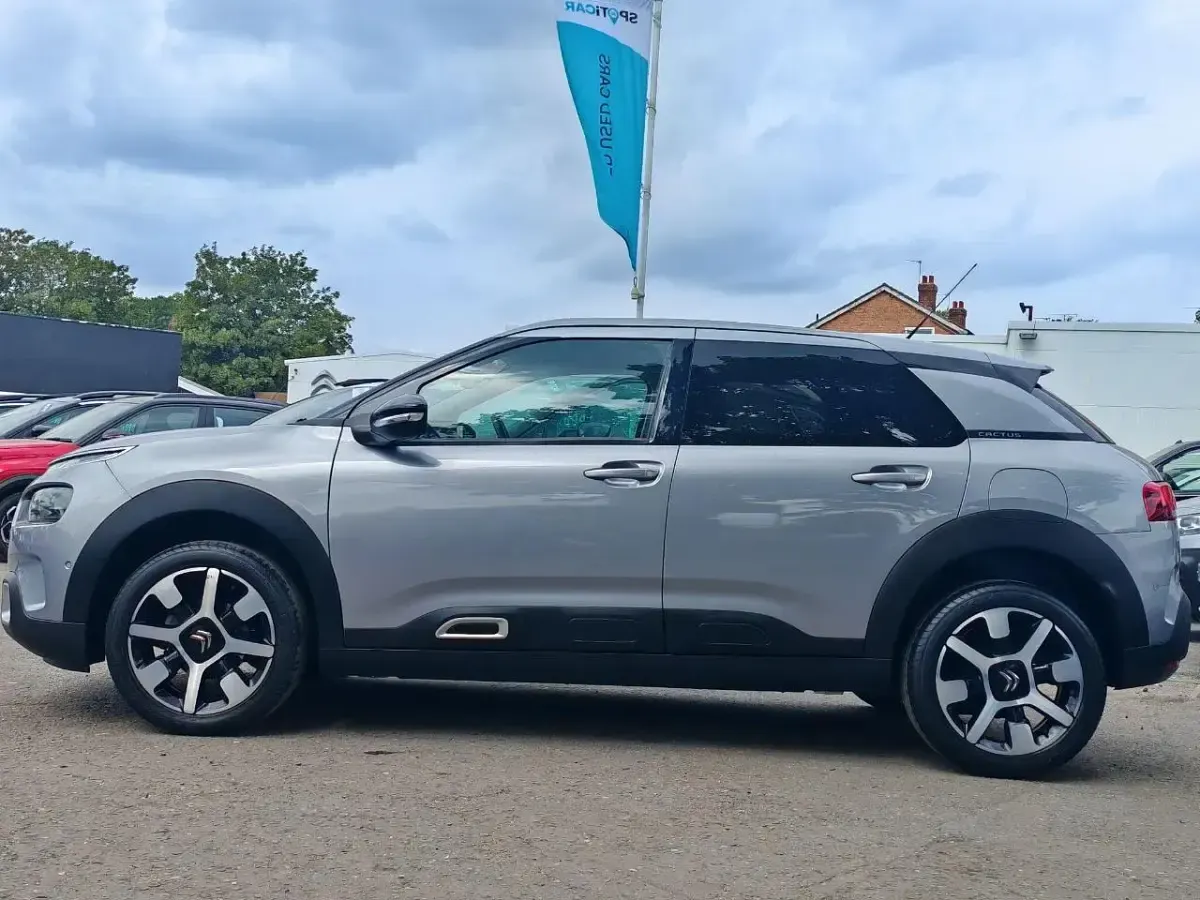 Used Citroën C4 Cactus Flair 108 HP (79 kW) 2018 Grey Hatchback