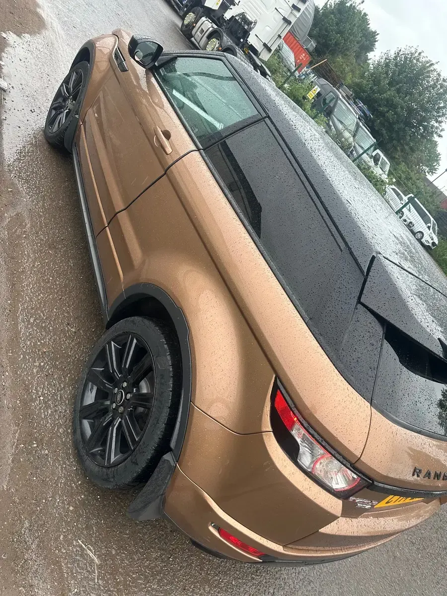 Used Land Rover Range Rover evoque Dynamic 2014 Bronze SUV