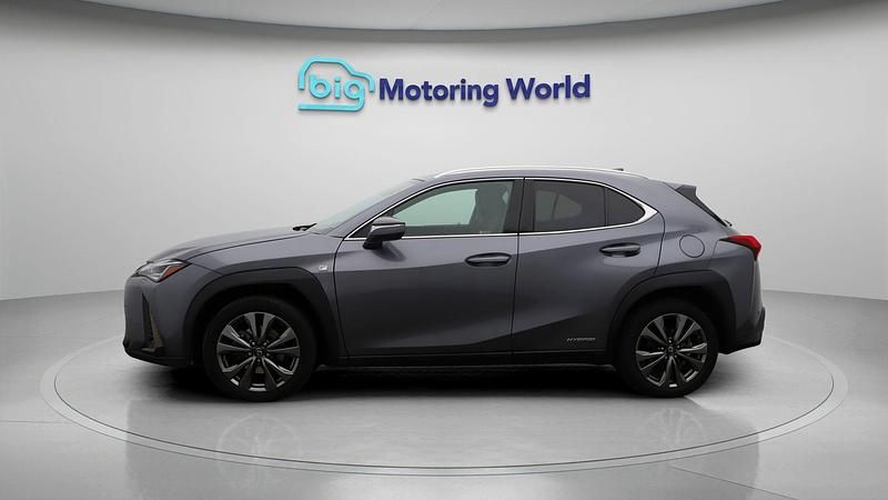 Used Lexus UX Sport Line 184 HP (135 kW) 2021 Grey SUV