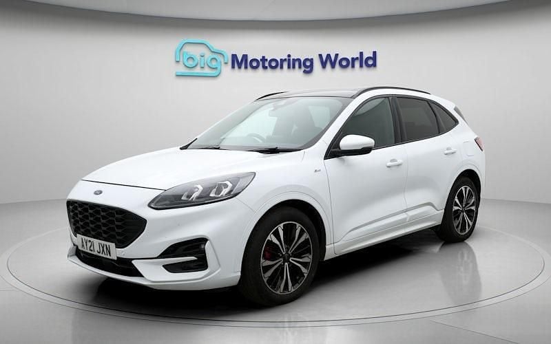 Used Ford Kuga ST-Line X 150 HP (110 kW) 2021 White SUV