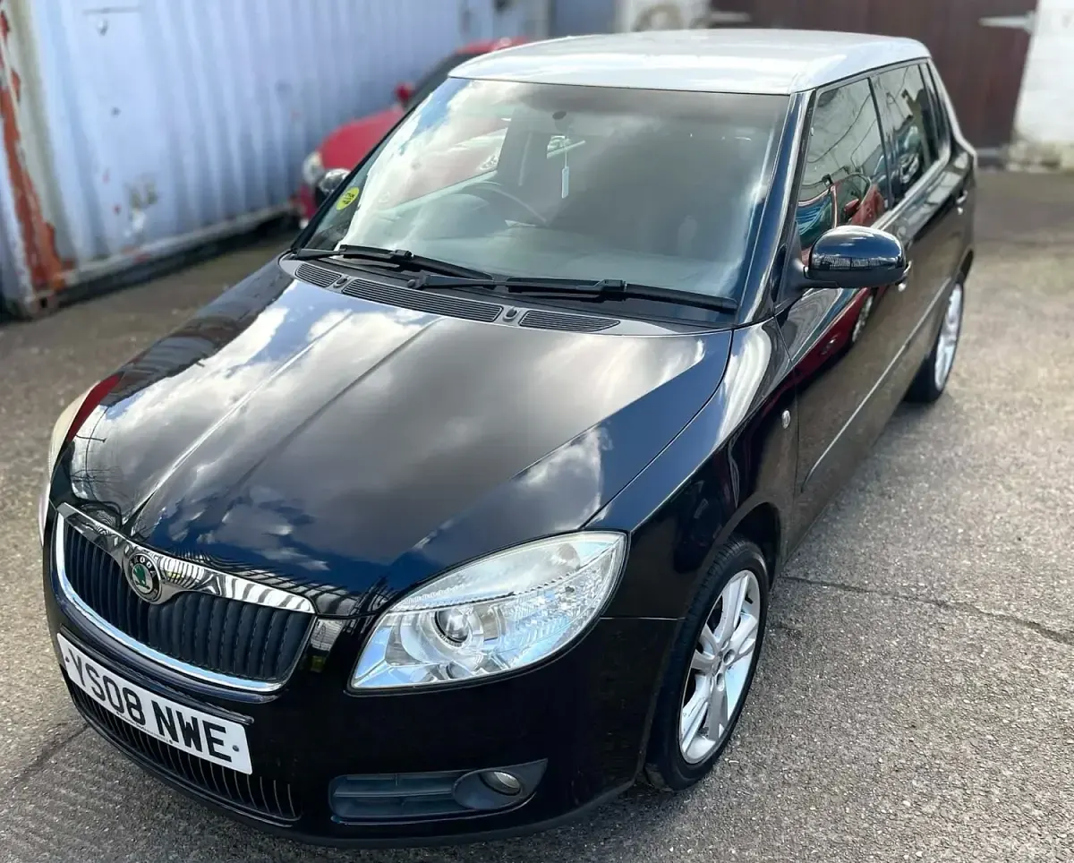 Usado Skoda Fabia 2008 Preto Citadino