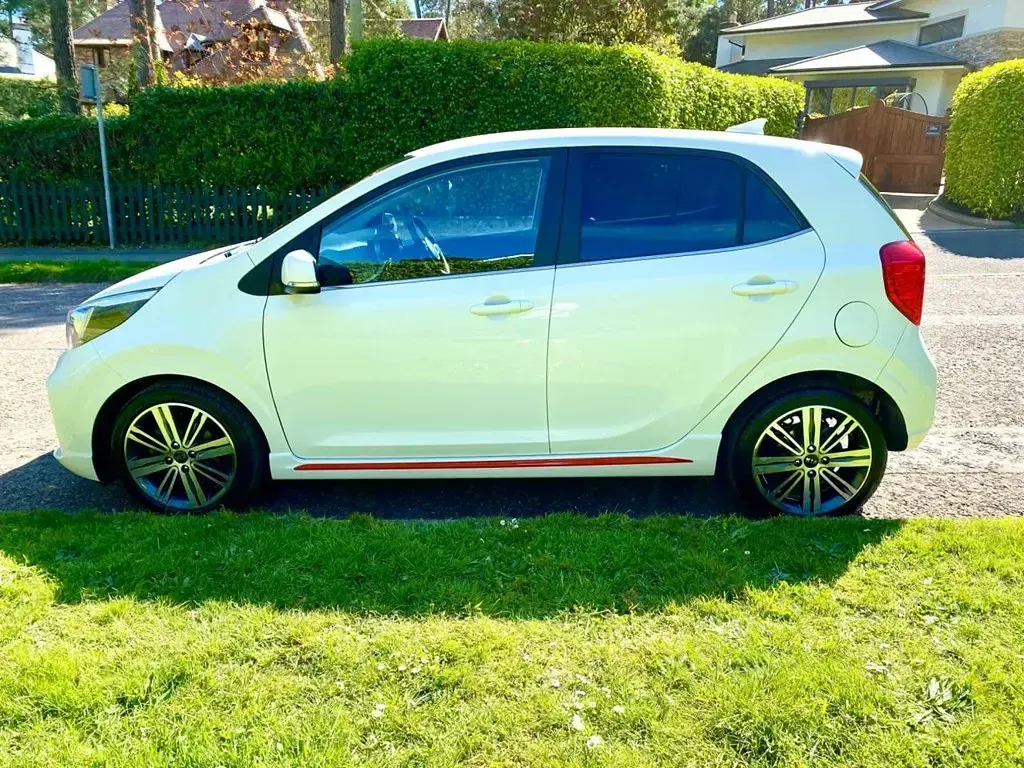 Used Kia Picanto GT-Line 99 HP (72 kW) 2019 White Hatchback