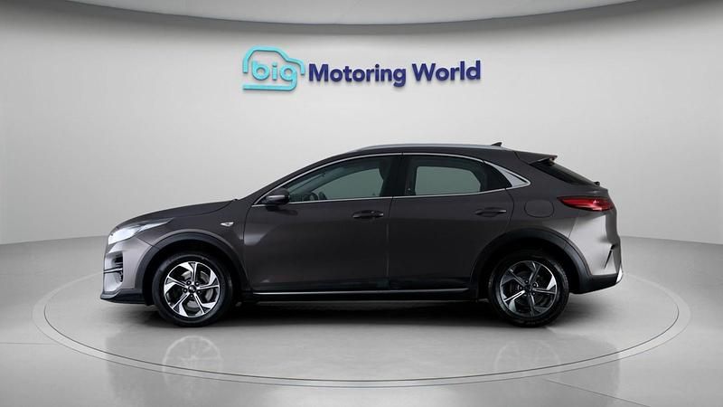 Used Kia XCeed 2020 Brown SUV