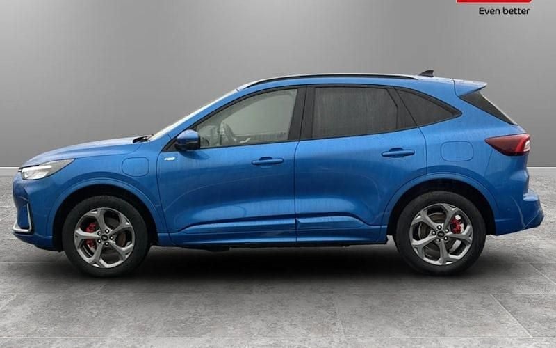 Used Ford Kuga ST-Line 242 HP (177 kW) 2025 SUV