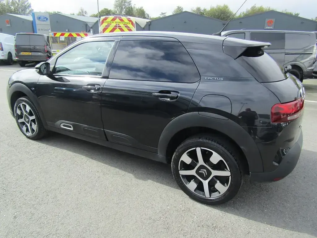 Used Citroën C4 Cactus Flair 110 HP (80 kW) 2020 Black Hatchback