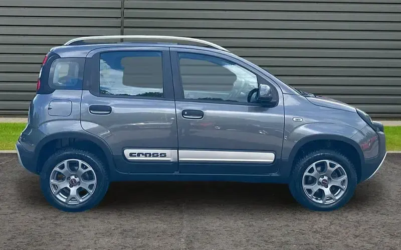 Used Fiat Panda Cross Cross 90 HP (66 kW) 2020 Hatchback
