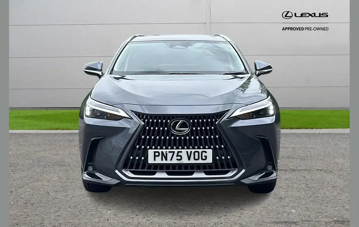 Used Lexus NX350h 240 HP (176 kW) 2025 Grey SUV