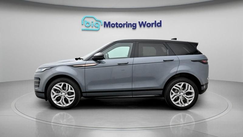 Used Land Rover Range Rover evoque R-Dynamic 2022 Grey SUV