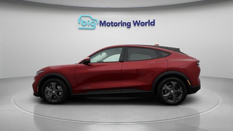 Gebraucht Ford Mustang Mach-E Standard Range 197 kW (269 PS) 2022 SUV